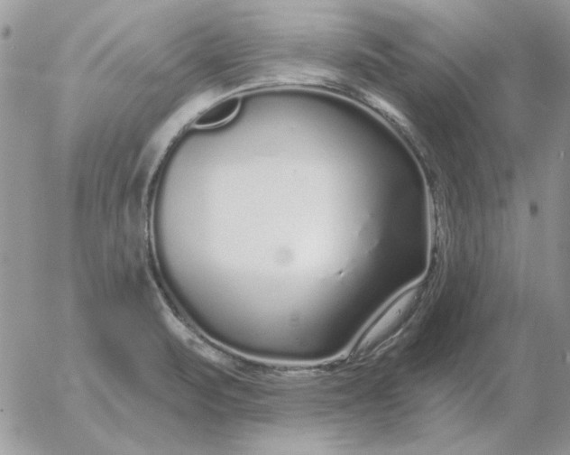 X0000052981471200507221315