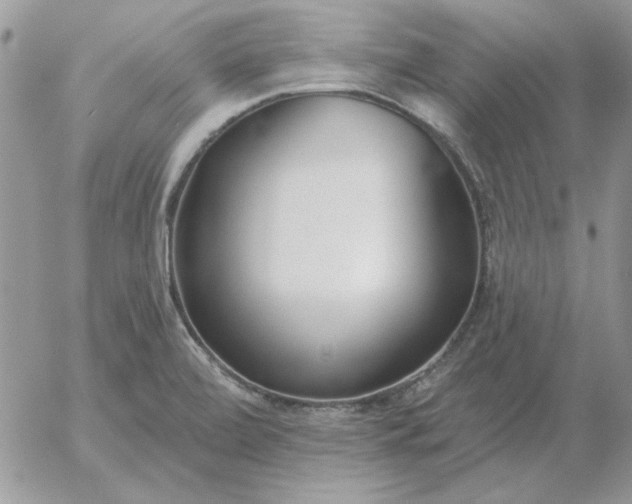 X0000052981472200507221315