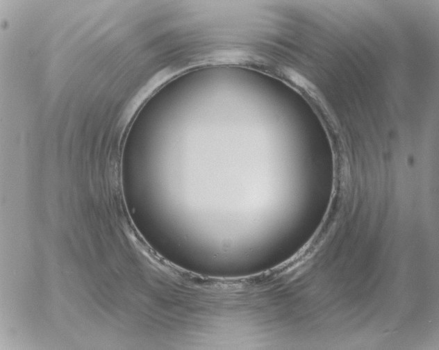 X0000052981473200507221315