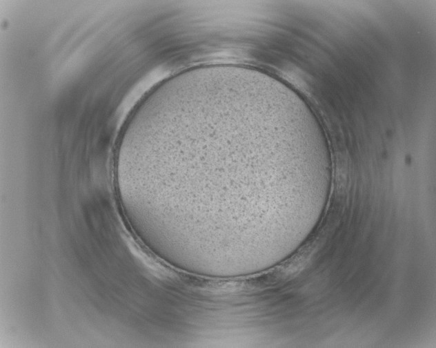 X0000052981474200507221315