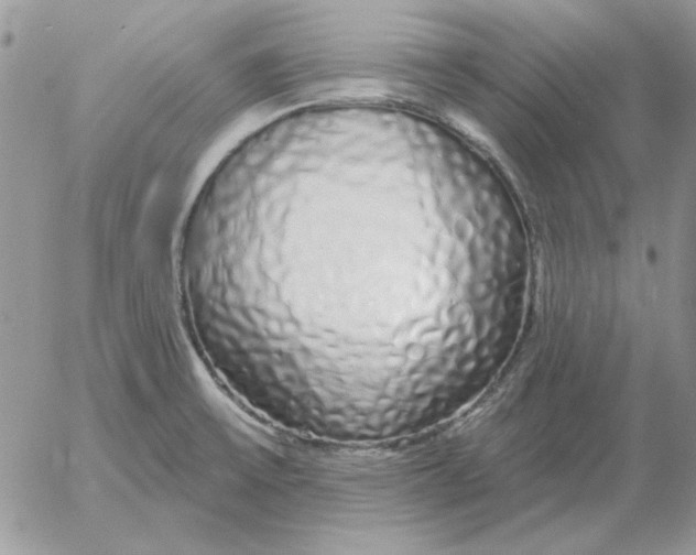 X0000052981475200507221315