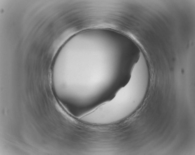 X0000052981476200507221315