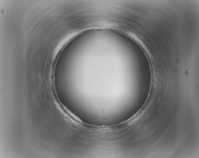 X0000052981477200507221315