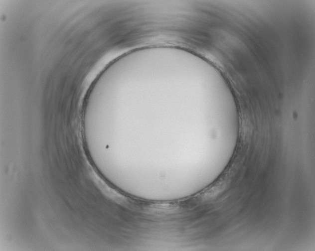 X0000052981478200507221315