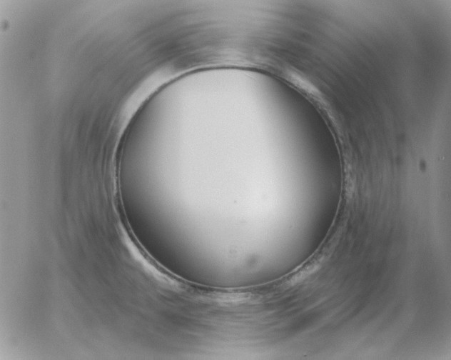 X0000052981479200507221315