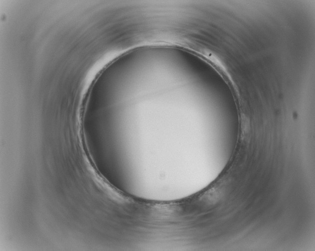 X0000052981480200507221315