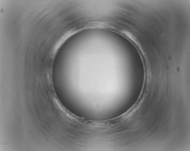 X0000052981481200507221315