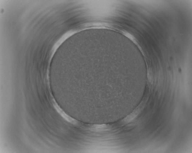 X0000052981482200507221315