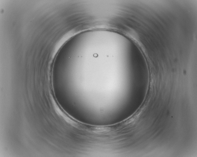 X0000052981483200507221315