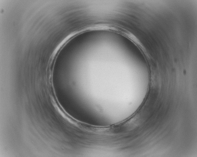 X0000052981484200507221315