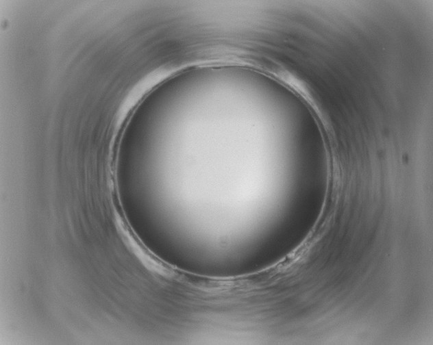 X0000052981485200507221315