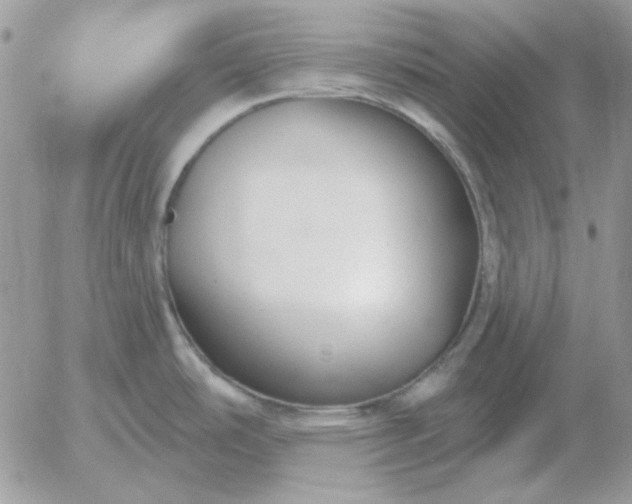 X0000052981486200507221315