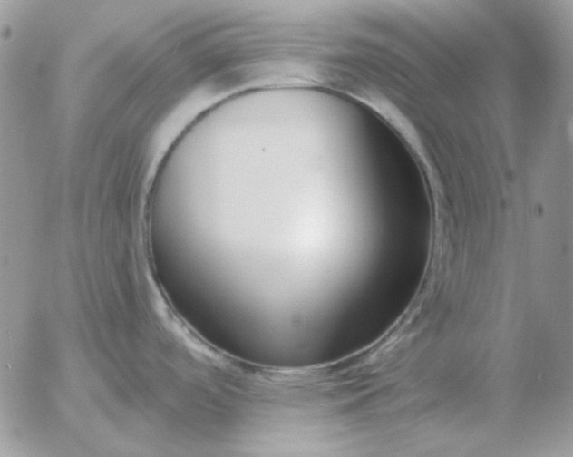 X0000052981488200507221315