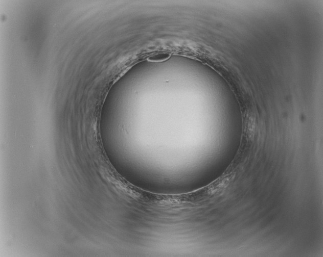 X0000052981489200507221314