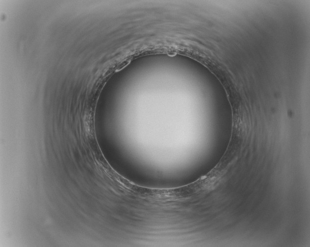 X0000052981490200507221314