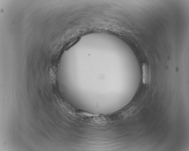 X0000052981491200507221314