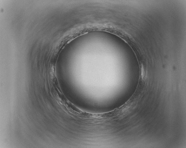 X0000052981492200507221314