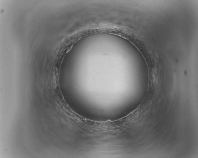 X0000052981493200507221314