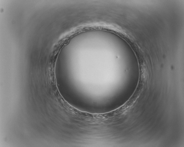 X0000052981494200507221314