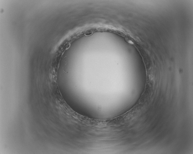 X0000052981495200507221314