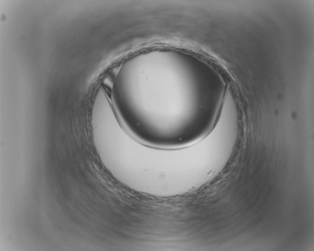 X0000052981496200507221314