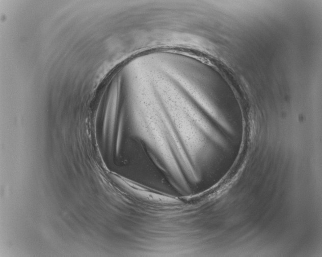 X0000052981497200507221314