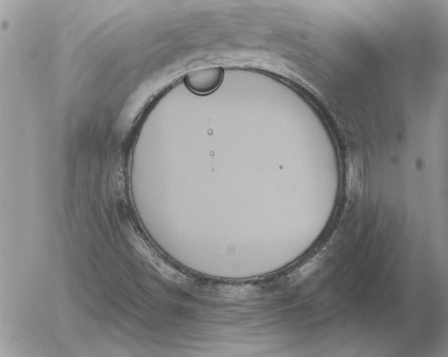 X0000052981498200507221314