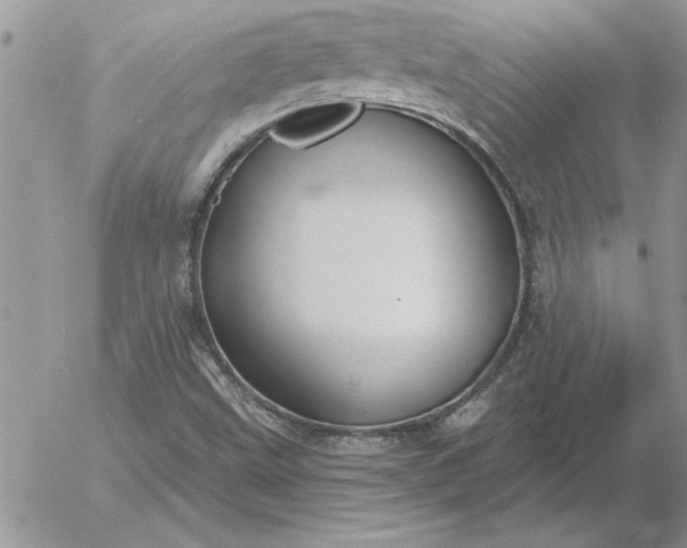 X0000052981499200507221314