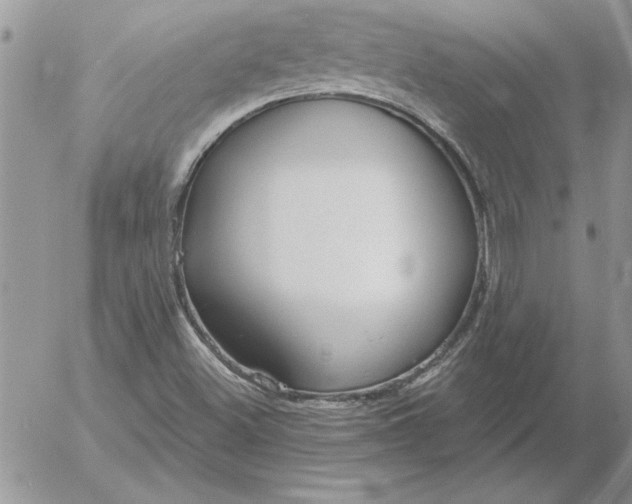 X0000052981500200507221314