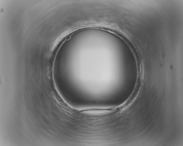 X0000052981501200507221314