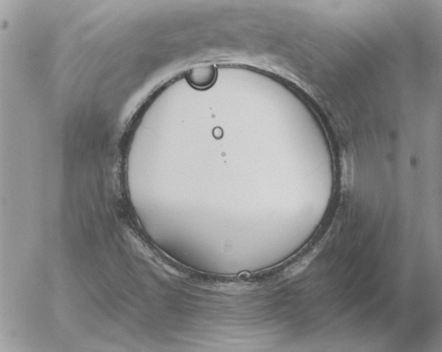 X0000052981502200507221314