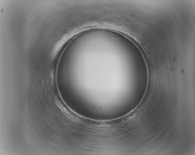 X0000052981503200507221314