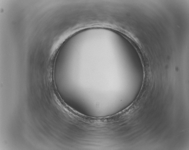 X0000052981504200507221314