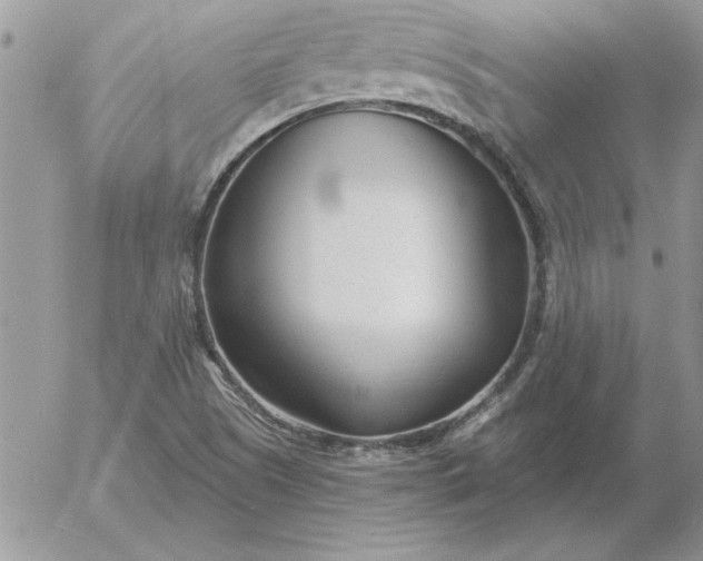 X0000052981505200507221314