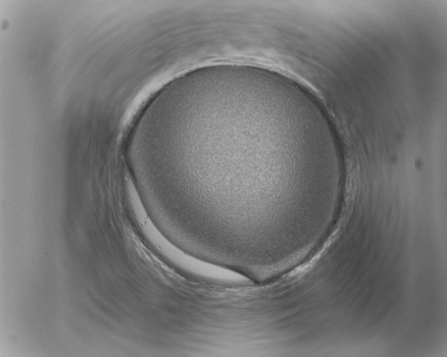 X0000052981506200507221314