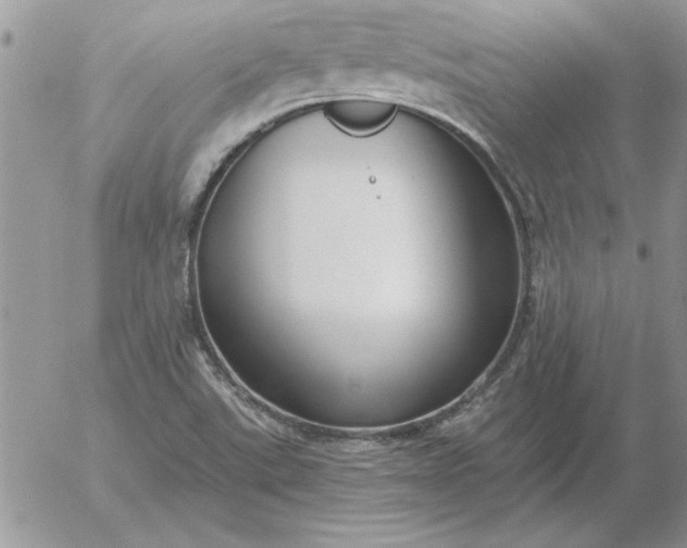 X0000052981507200507221314