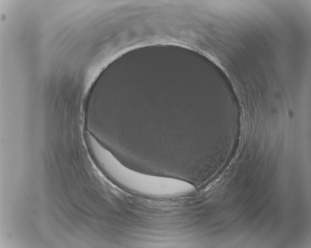 X0000052981508200507221314