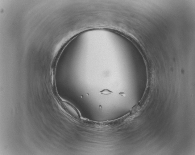 X0000052981509200507221314