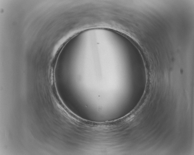 X0000052981510200507221314