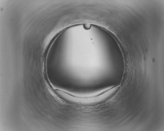 X0000052981511200507221314