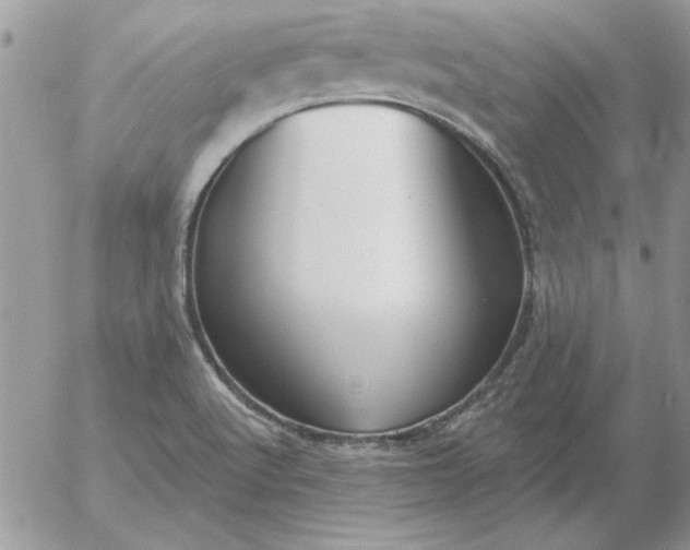 X0000052981512200507221314