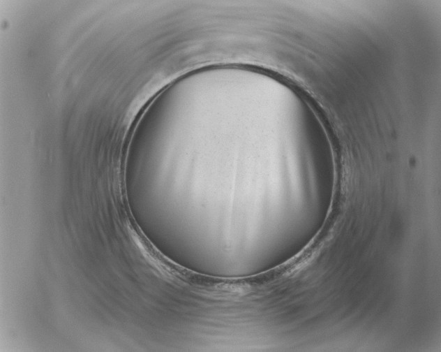 X0000052981513200507221314