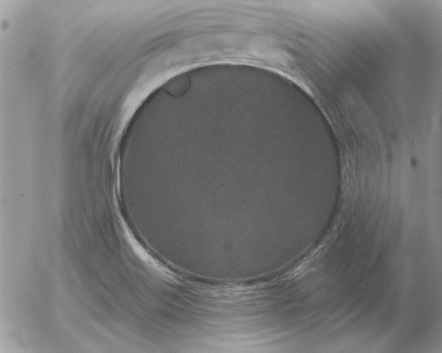 X0000052981515200507221314