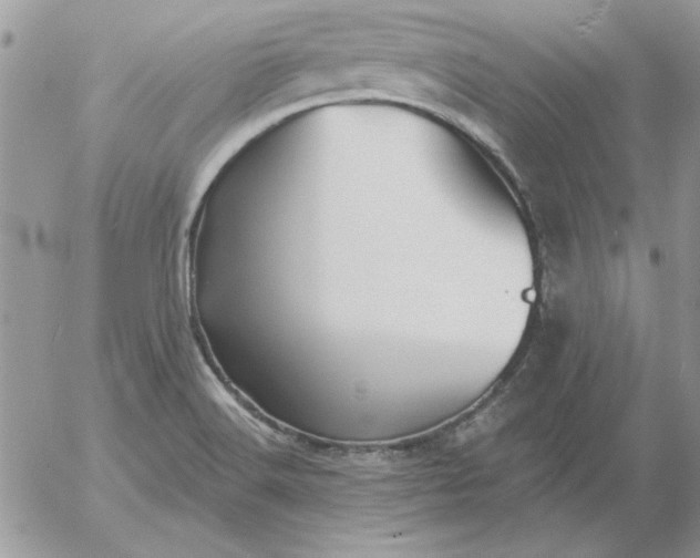 X0000052981516200507221314