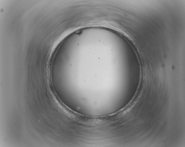 X0000052981517200507221314