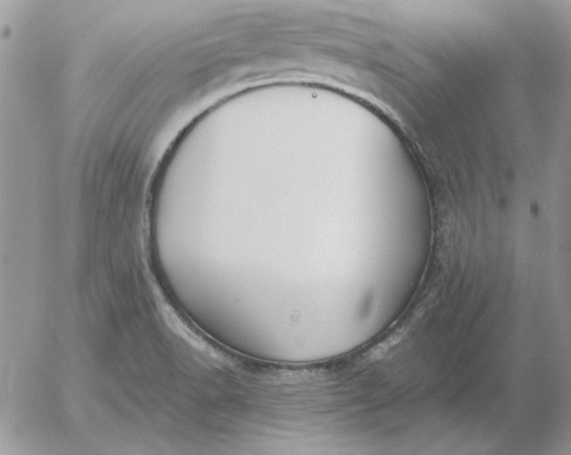 X0000052981518200507221314