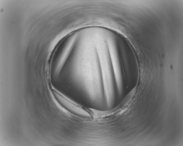 X0000052981519200507221314