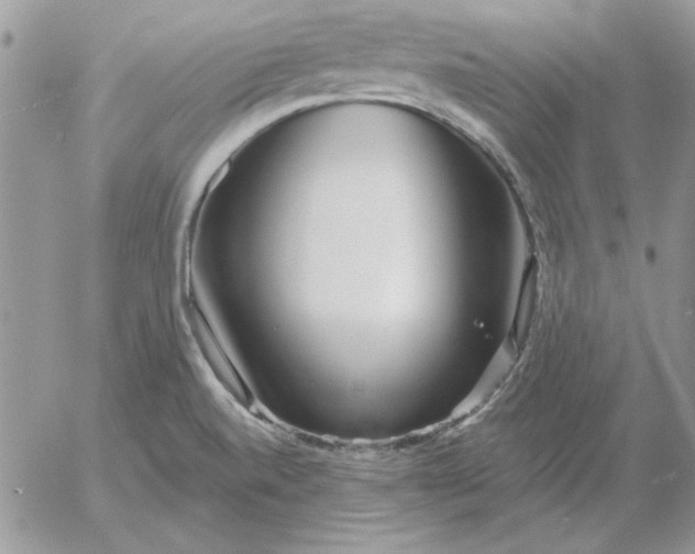 X0000052981520200507221314