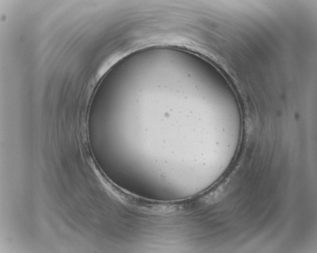 X0000052981521200507221315