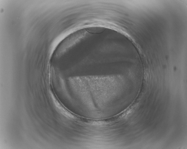 X0000052981522200507221315